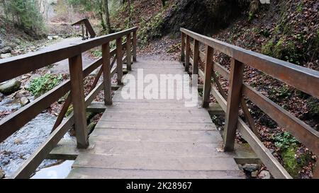 Landschaft eines Bergflusses im Wald im Frühherbst und Spätsommer. Wasser in einem natürlichen Fluss. Wunderschöner und entspannender Wald mit einem Fluss. Fluss tief im Gebirgswald. Naturzusammensetzung. Stockfoto