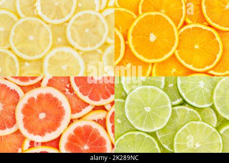 Zitrusfrüchte Orangen Zitronen Hintergrund Sammlung Collage Set Fruit Stockfoto