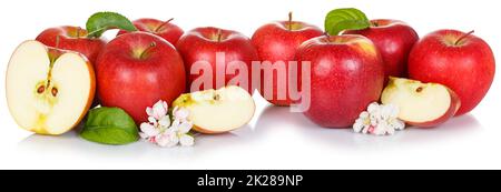 Apfelfrüchte rote Äpfel Früchte isoliert auf weiß hintereinander Stockfoto