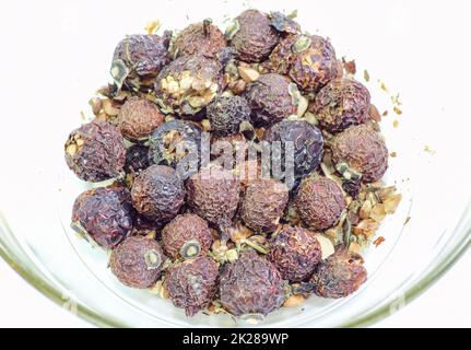 Getrocknete wilde Rose. Trockenfrüchte wilder Rosenbeeren. Stockfoto