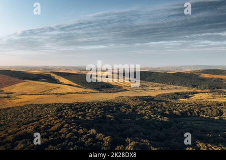 Luftaufnahme von endlosen üppigen Weiden Ackerland & Wälder von Europa. Schöne rumänische Landschaft mit smaragdgrünen Feldern und Wiesen. Stockfoto