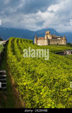 Schloss Chateau d'Aigle im Kanton Waadt, Schweiz Stockfoto