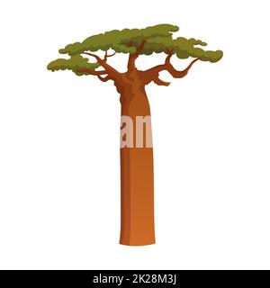 Realistischer grüner, höchster Baum der Welt mit Mammutbäumen auf weißem Hintergrund - Vektor Stockfoto