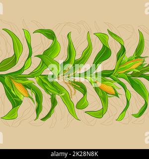 Vektormuster der Maispflanze auf farbigem Hintergrund Stockfoto