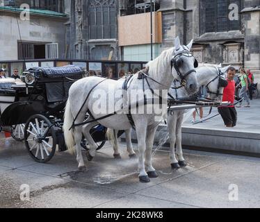 WIEN, ÖSTERREICH - CA. SEPTEMBER 2022: Pferde und Kutschen Stockfoto