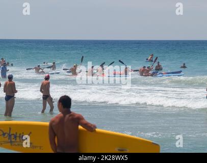 Tauranga Neuseeland - Januar 25 2009; Teilnehmer, die Surfbretter ins Meer tragen, um ein Rennen zu starten. Stockfoto