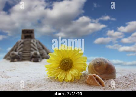 Blume und Seashell auf Sand mit Pyramide im Hintergrund, flacher Freiheitsgrad Stockfoto