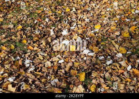 Sammlung von schönen bunten Herbstlaub Stockfoto