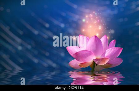 Lotus Pink Violett schwimmende Licht funkeln lila Hintergrund Stockfoto