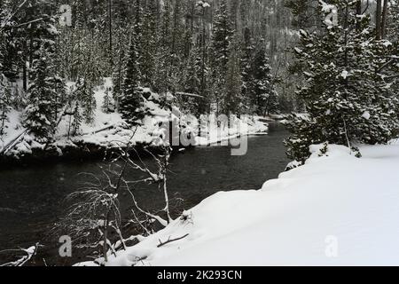 Yellowstone Winter Snow Madison River Stockfoto