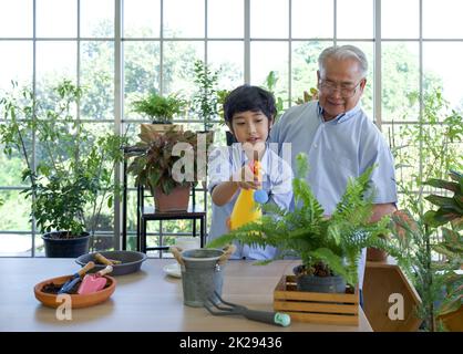 Der pensionierte Großvater verbrachte die Ferien mit seinem Enkel, der sich um den Innengarten kümmerte. Stockfoto