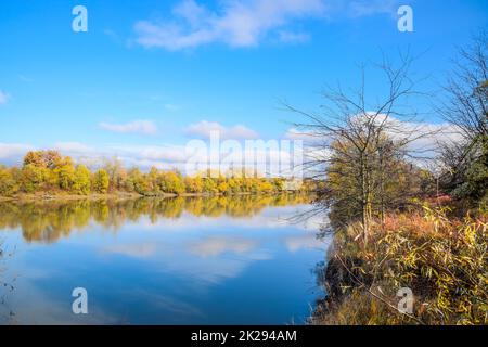 Herbst Landschaft. Fluss und Ufer mit gelben Bäume. Weide und Pappel am Ufer. Stockfoto