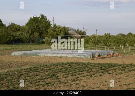 Gewächshäuser aus Polymerfolie. Frühling in den Gewächshäusern Stockfoto