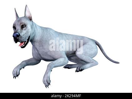 3D-Rendering Blue Grat Däne Hund auf Weiß Stockfoto