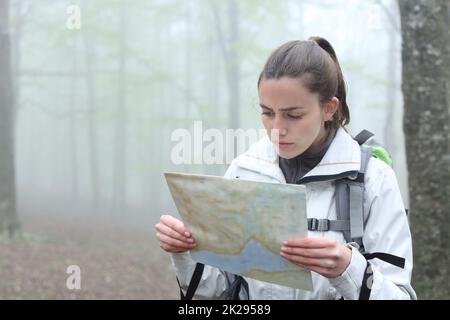 Trekker überprüft Karte in einem Wald Stockfoto