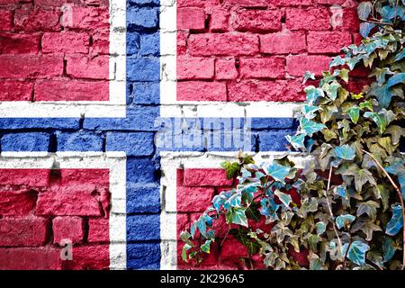 Norwegische Grunge-Flagge an der Ziegelwand mit Efeu-Pflanze Stockfoto