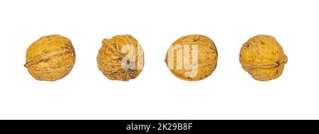 Set von Bildern von Walnüssen isoliert auf einem weißen Hintergrund. Stockfoto