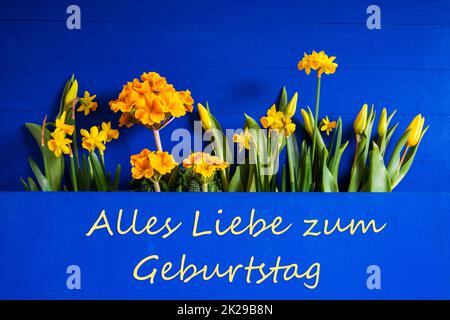 Frühlingsblumen, Tulpe, Narzisse, Text Geburtstag Bedeutet Happy Birthday Stockfoto