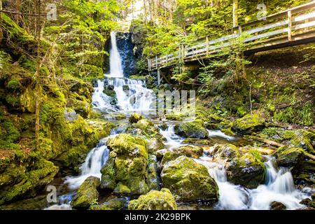 Landschaftlich schöner Blick auf die Dickson Falls im Fundy National Park Canada Attraction Stockfoto