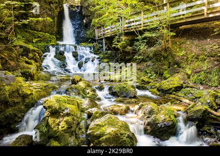 Landschaftlich schöner Blick auf die Dickson Falls im Fundy National Park Canada Attraction Stockfoto