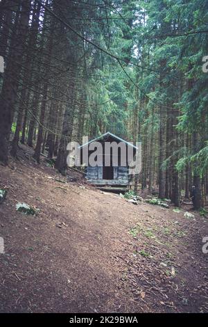 Kleine Holzkabine in einem dunklen Tannenwald Stockfoto