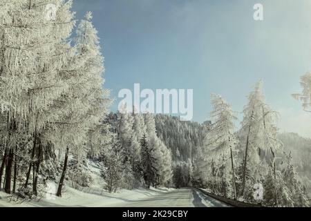 Morgen auf Winter Forest Road, Bäume auf der Seite beleuchtet durch die Sonne, durch weiße rime Frost bedeckt. Stockfoto