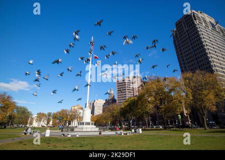 New Haven Green im Zentrum von New Haven, CT Stockfoto