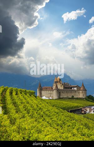 Schloss Chateau d'Aigle im Kanton Waadt, Schweiz Stockfoto