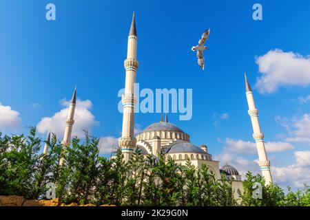 Möwe fliegt durch die wunderschöne neue Moschee von Istanbul, die Camlica Moschee, Türkei Stockfoto