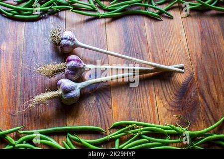 Die Ernte von Bohnen und Knoblauch wird im Garten gesammelt. Plantagenarbeit. Herbsternte und gesundes Bio-Food-Konzept Nahaufnahme mit selektivem Fokus Stockfoto