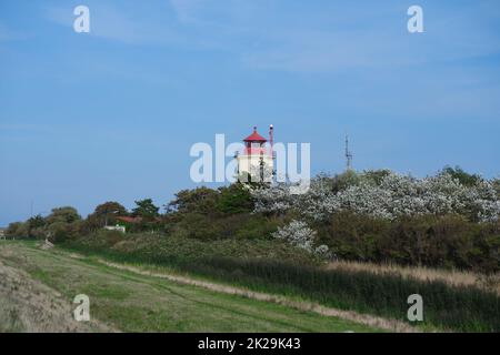 Fehmarn, Landschaft mit Leuchtturm Westermarkelsdorf Stockfoto