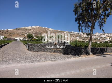 Das Anwesen Argyros wurde 1903 gegründet und ist der größte private Besitzer von Weinbergen in Santorini, und die aktuellen Landbestände überschreiten 120 ha Stockfoto