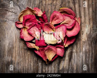 Rosenblüten Stockfoto