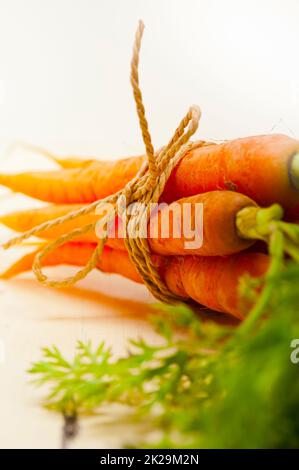 Baby-Karotten-Bündel mit einem Seil gefesselt Stockfoto