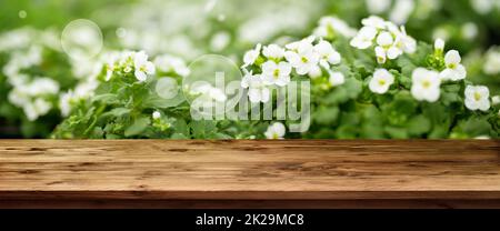 Holztisch vor kleinen weißen Frühlingsblumen Stockfoto