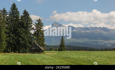 Sommer Wiese mit alten hölzernen Hütte, Berg Krivan (Slowakische Symbol) und Hohe Tatra im Hintergrund, an einem sonnigen Tag. Traditionelle Slowakei Landschaft. Stockfoto