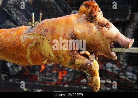 Ferkelbraten auf dem Brennholz in Deutschland Stockfoto