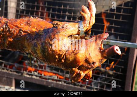 Ferkelbraten auf dem Brennholz in Deutschland Stockfoto