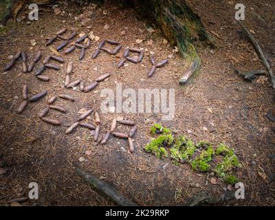 Hausgemachter weißer Kopierraum und Koniferenbrunches und -Kegel in Ecken wunderschön angelegte flache Lage, machen Sie es sich selbst Minimalismus, natürliche Kunst mit 2022 goldenen Kerzen Stockfoto