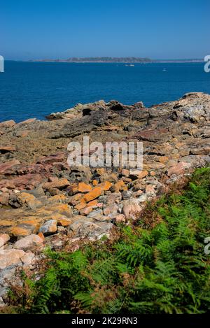 Monolithische Blöcke aus rosafarbenem Granit in den Cotes d'Armor in der Bretagne, Frankreich. Rosafarbene Granitküste Stockfoto