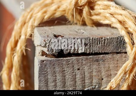 Ein altes Seil, das in einer Nahaufnahme um eine alte alte Schachtel gebunden wurde. Stockfoto