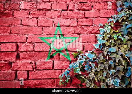 Marokkanische Grunge-Flagge an Backsteinwand mit Efeu-Pflanze Stockfoto