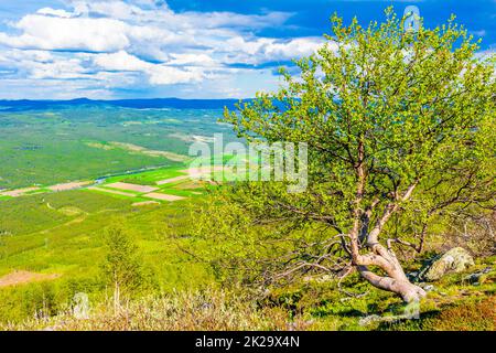 Schönes Talpanorama Norwegen Hemsedal Hydalen mit Schnee in den Bergen. Stockfoto