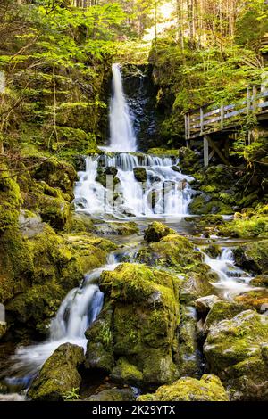 Landschaftlich schöner Blick auf die Dickson Falls im Fundy National Park Canada Attraction Stockfoto