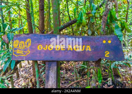 Informationen zum Sian Kaan Nationalpark Eingang willkommen Sing Board Mexiko. Stockfoto