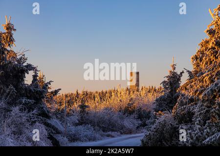 Aussichtsturm, Velka Destna, Orlicke Berge, Ostböhmen, Tschechische Republik Stockfoto