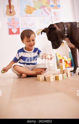 Sie lieben es, zusammen zu spielen. Ein kleiner Junge spielt mit Bausteinen in seinem Zimmer, während sein Hund zuschaut. Stockfoto