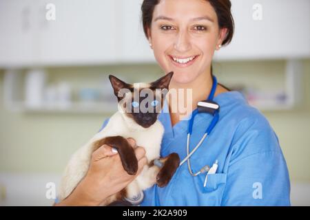 Achten Sie darauf, dass Ihre Tiere die bestmöglichen Chancen haben. Porträt einer lächelnden Tierärztin mit einer siamesischen Katze. Stockfoto