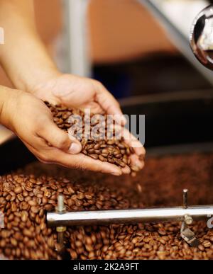 Bereit für den Grind. Ein kurzer Schuss von Händen, die Kaffeebohnen schröpfen und darauf warten, gemahlen zu werden. Stockfoto