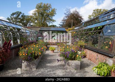 Die Außenseite der tropischen und Kakteen Häuser umgeben von Sommerblumen Inverness Botanic Gardens, Inverness, Schottland Großbritannien Stockfoto